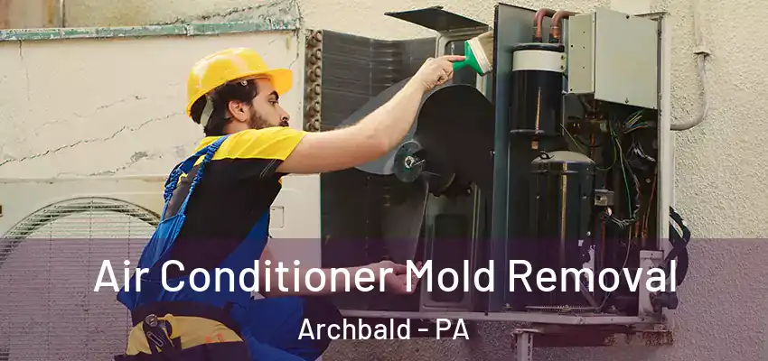  Air Conditioner Mold Removal Archbald - PA