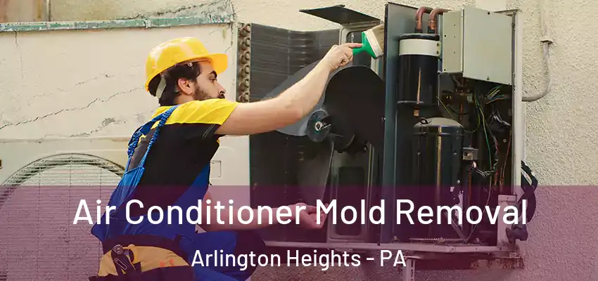 Air Conditioner Mold Removal Arlington Heights - PA