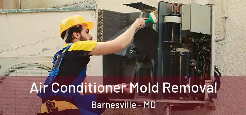  Air Conditioner Mold Removal Barnesville - MD