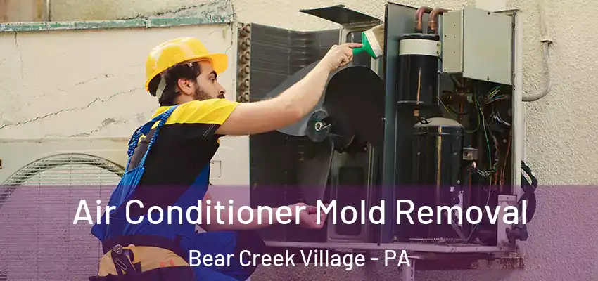  Air Conditioner Mold Removal Bear Creek Village - PA