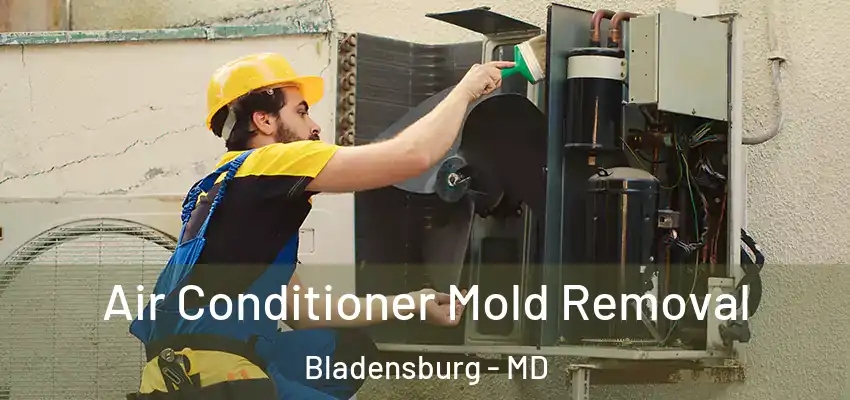  Air Conditioner Mold Removal Bladensburg - MD