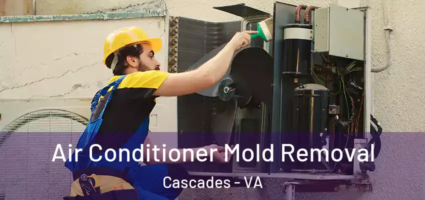  Air Conditioner Mold Removal Cascades - VA