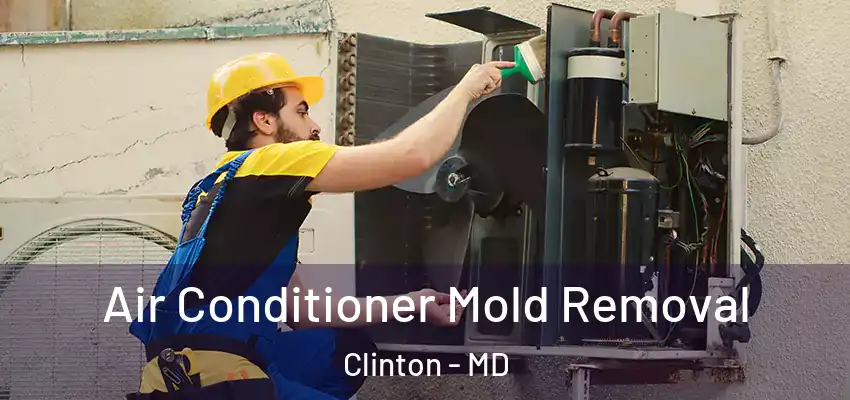  Air Conditioner Mold Removal Clinton - MD