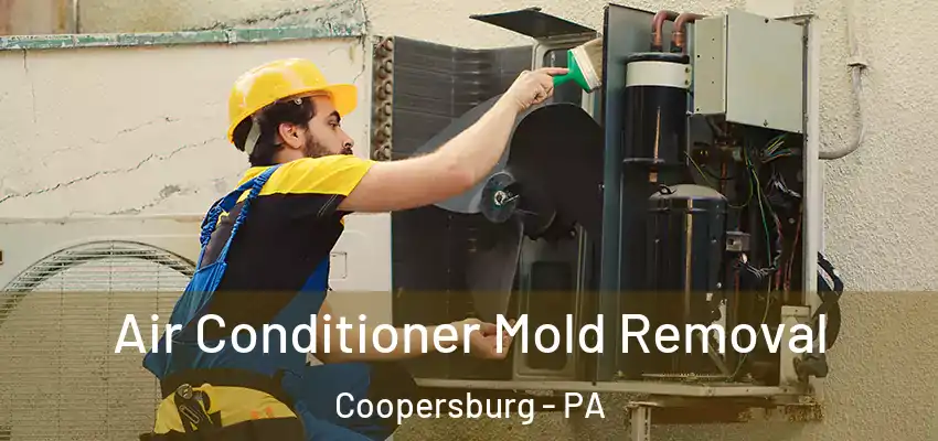  Air Conditioner Mold Removal Coopersburg - PA