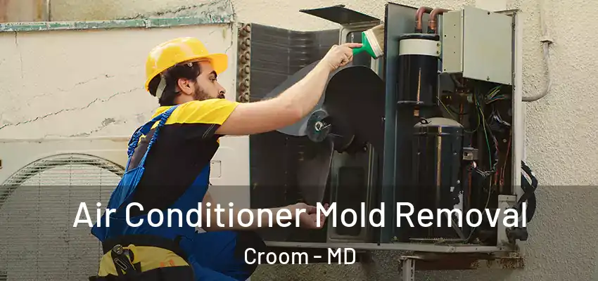  Air Conditioner Mold Removal Croom - MD