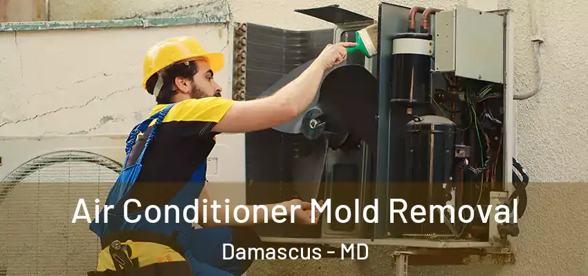  Air Conditioner Mold Removal Damascus - MD