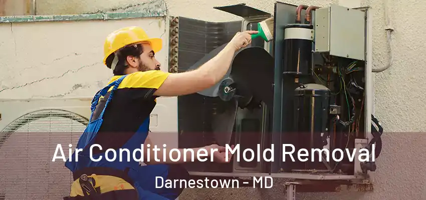  Air Conditioner Mold Removal Darnestown - MD