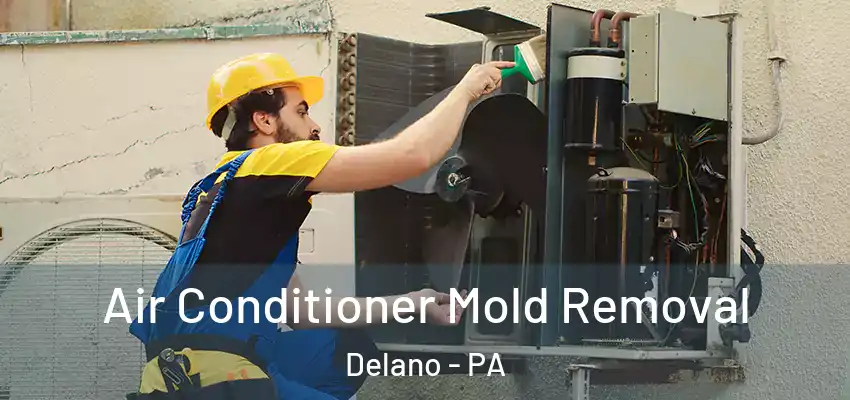  Air Conditioner Mold Removal Delano - PA