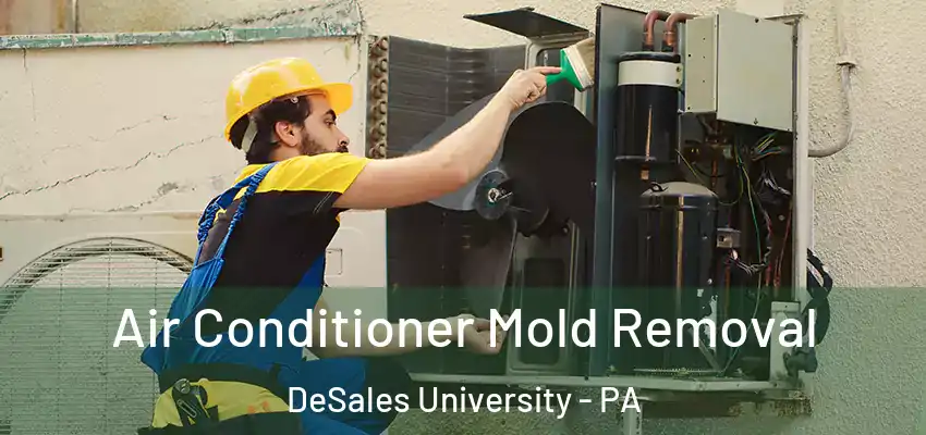 Air Conditioner Mold Removal DeSales University - PA