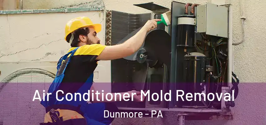 Air Conditioner Mold Removal Dunmore - PA