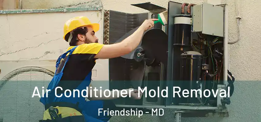  Air Conditioner Mold Removal Friendship - MD