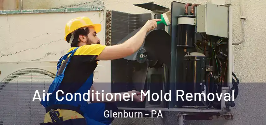  Air Conditioner Mold Removal Glenburn - PA