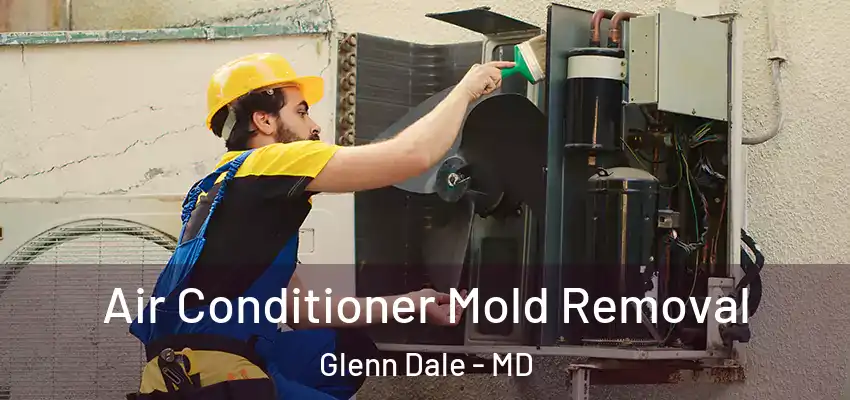 Air Conditioner Mold Removal Glenn Dale - MD