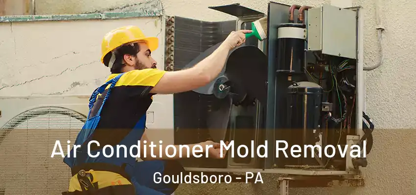  Air Conditioner Mold Removal Gouldsboro - PA