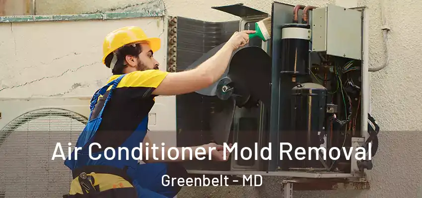 Air Conditioner Mold Removal Greenbelt - MD