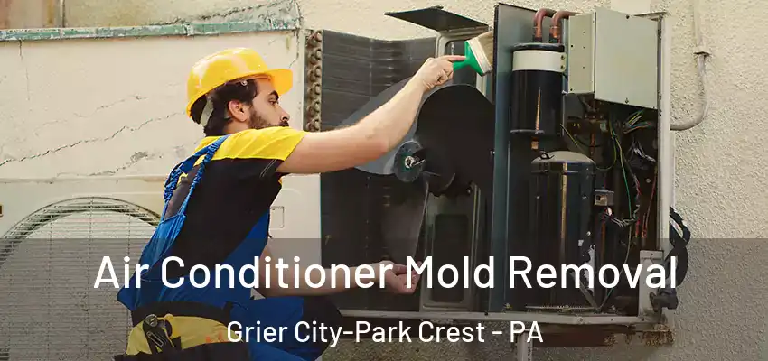 Air Conditioner Mold Removal Grier City-Park Crest - PA