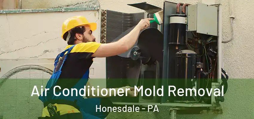  Air Conditioner Mold Removal Honesdale - PA