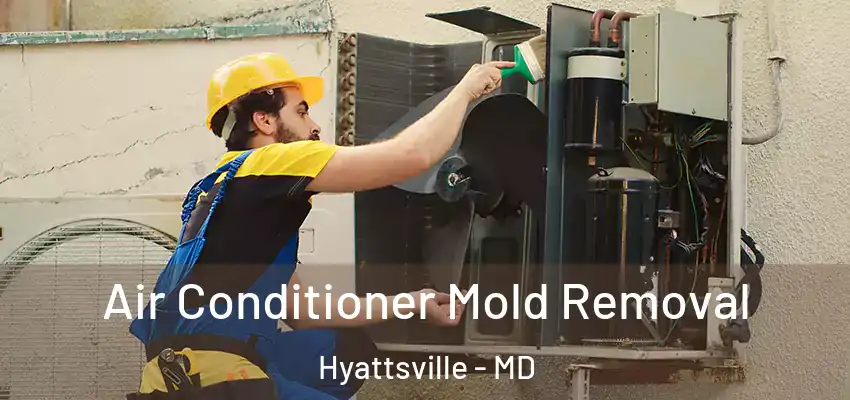  Air Conditioner Mold Removal Hyattsville - MD