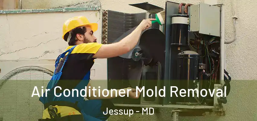 Air Conditioner Mold Removal Jessup - MD