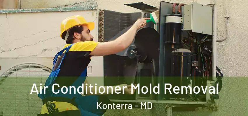 Air Conditioner Mold Removal Konterra - MD