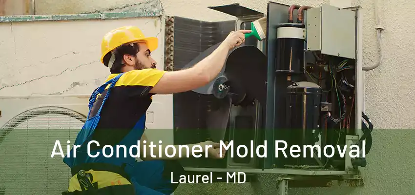 Air Conditioner Mold Removal Laurel - MD