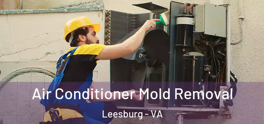  Air Conditioner Mold Removal Leesburg - VA