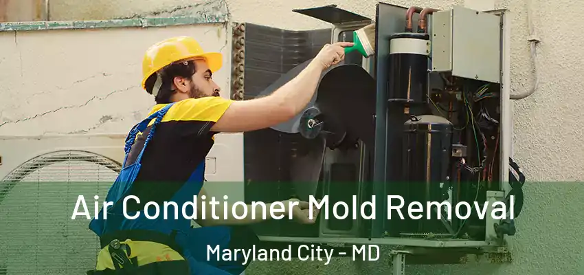 Air Conditioner Mold Removal Maryland City - MD
