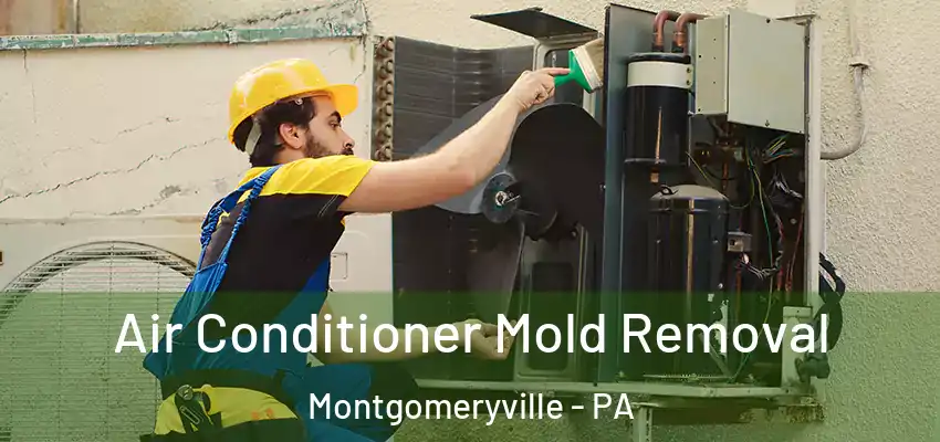  Air Conditioner Mold Removal Montgomeryville - PA