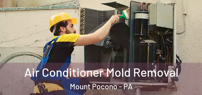  Air Conditioner Mold Removal Mount Pocono - PA