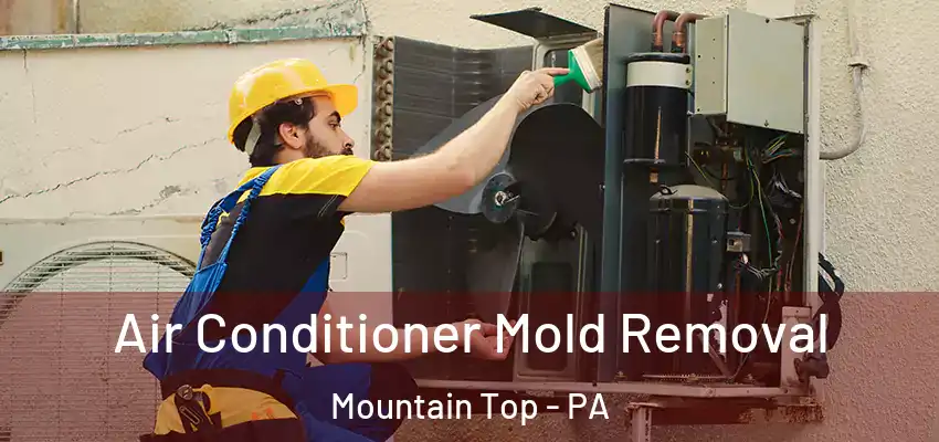  Air Conditioner Mold Removal Mountain Top - PA