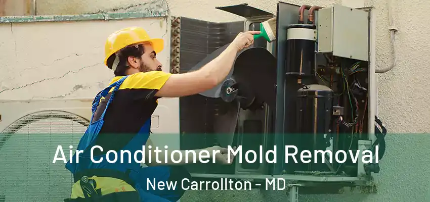 Air Conditioner Mold Removal New Carrollton - MD