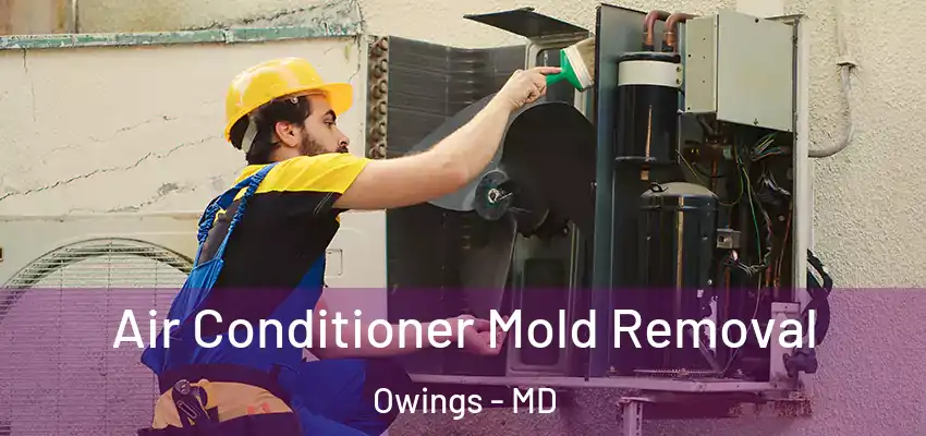 Air Conditioner Mold Removal Owings - MD