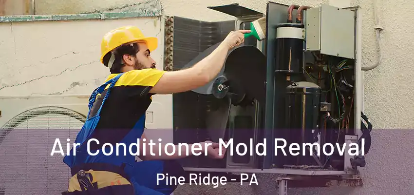 Air Conditioner Mold Removal Pine Ridge - PA
