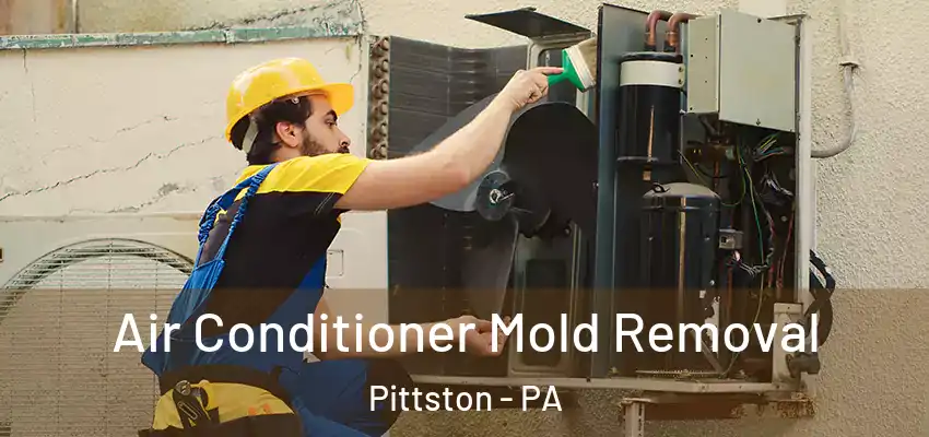 Air Conditioner Mold Removal Pittston - PA