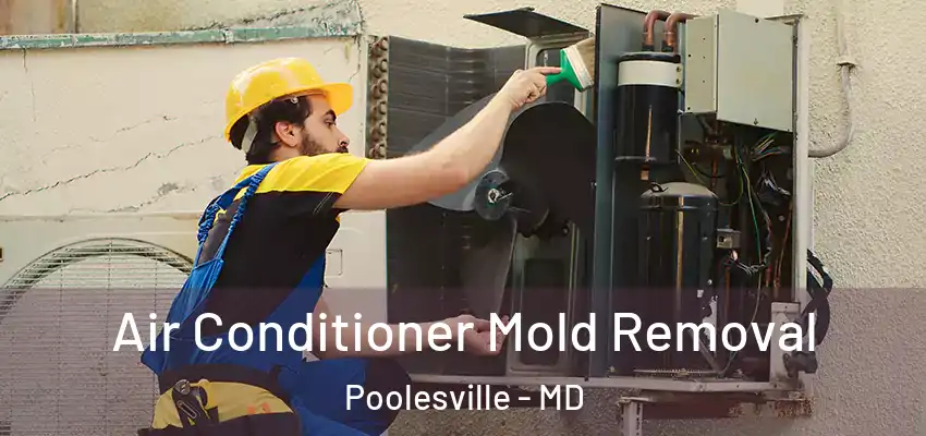 Air Conditioner Mold Removal Poolesville - MD