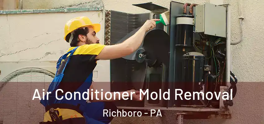 Air Conditioner Mold Removal Richboro - PA