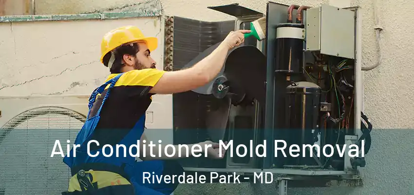 Air Conditioner Mold Removal Riverdale Park - MD