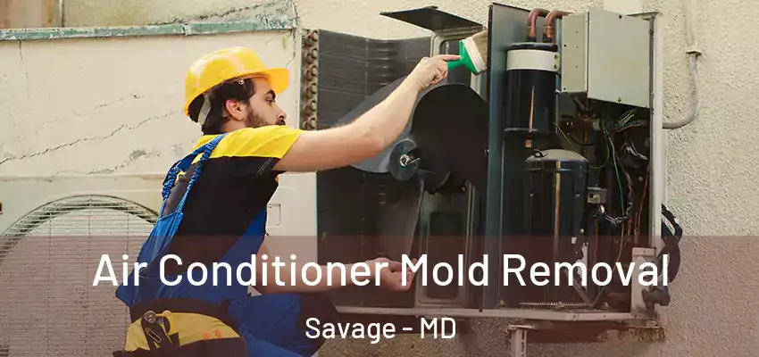 Air Conditioner Mold Removal Savage - MD