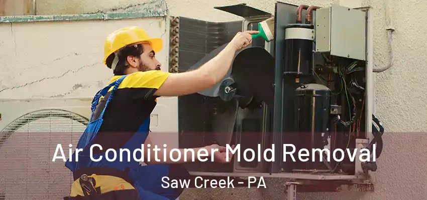  Air Conditioner Mold Removal Saw Creek - PA