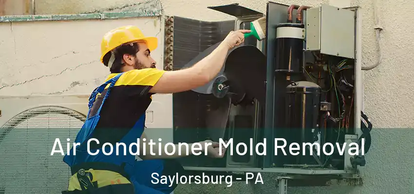 Air Conditioner Mold Removal Saylorsburg - PA