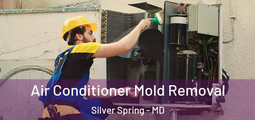  Air Conditioner Mold Removal Silver Spring - MD