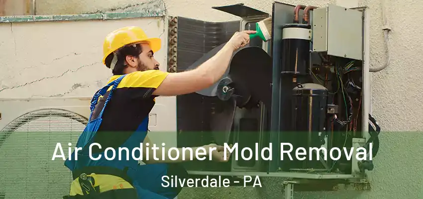  Air Conditioner Mold Removal Silverdale - PA