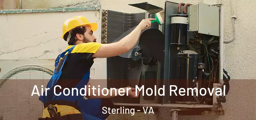  Air Conditioner Mold Removal Sterling - VA