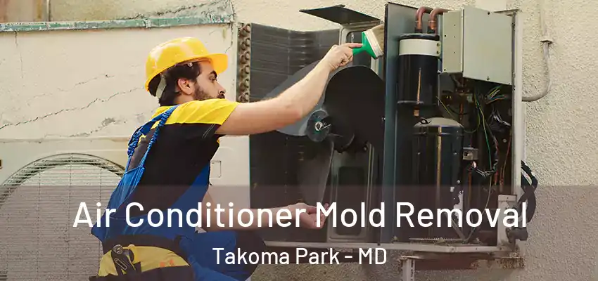 Air Conditioner Mold Removal Takoma Park - MD