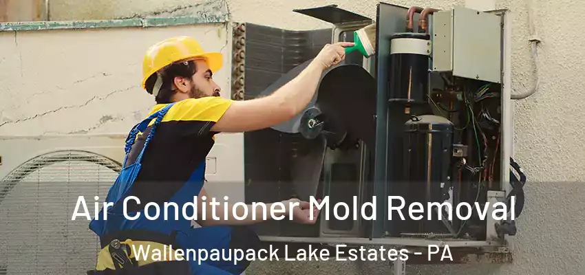 Air Conditioner Mold Removal Wallenpaupack Lake Estates - PA
