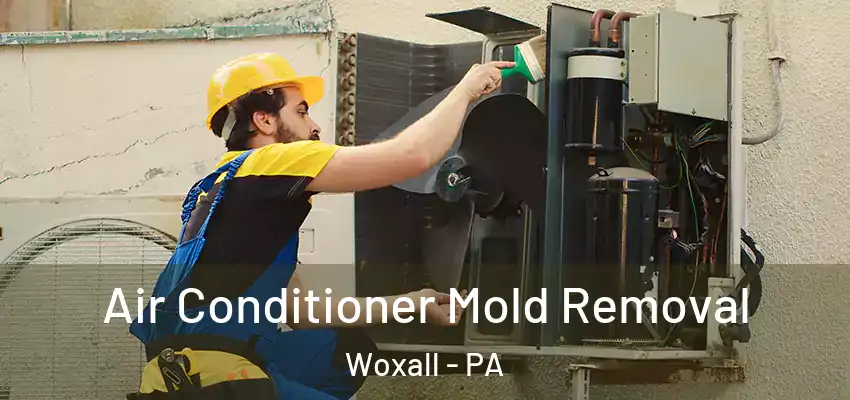 Air Conditioner Mold Removal Woxall - PA