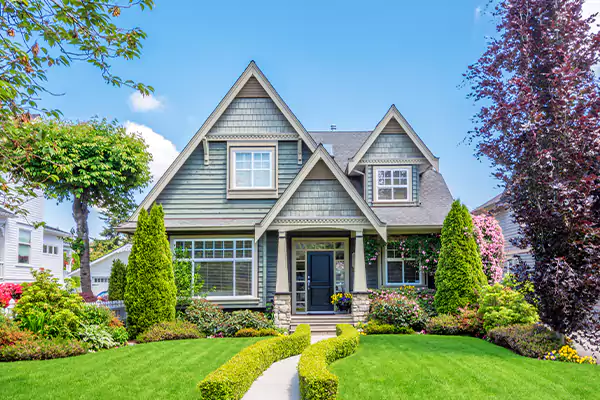 Black Mold Clean Up in Reston, VA