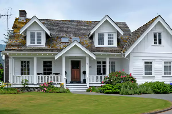 Mold Inspection Services in Reston, VA