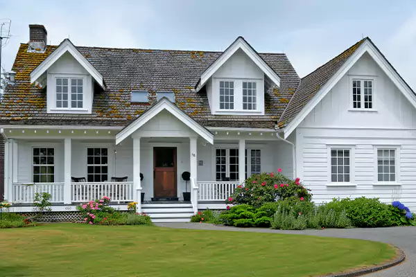 Mold Removal Services in Reston, VA