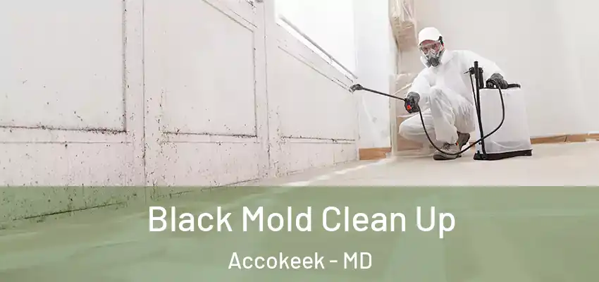  Black Mold Clean Up Accokeek - MD